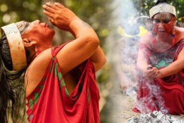 O que é Medicina Tradicional Andina?