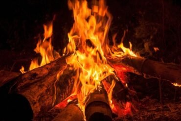 Tintura mãe: o que é e para que serve?