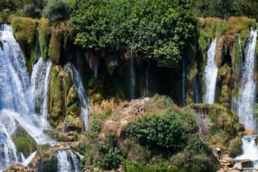 Dhatu no Ayurveda: o que são e qual sua importância?