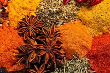 Yoni vyapad: as doenças ginecológicas no Ayurveda