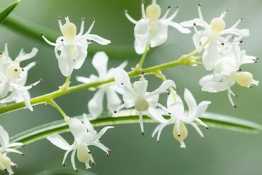 É normal ter fluxo menstrual intenso?