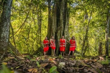 Ciclo das sementes: o que é e como fazer?