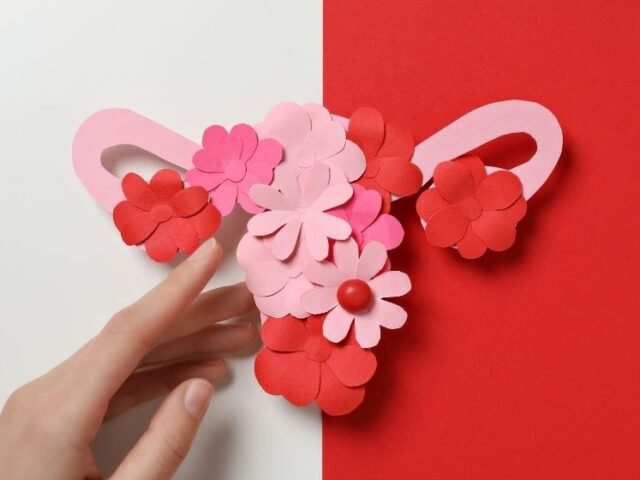 endometriose ayurveda