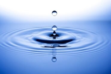 O que são plantas sagradas?