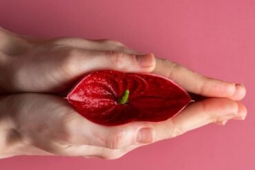 Raktapitta: entenda a hemofilia na visão do Ayurveda