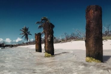 Tebbe sonnati: a Medicina Tradicional Persa