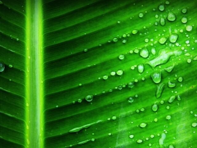 corrimento verde com cheiro